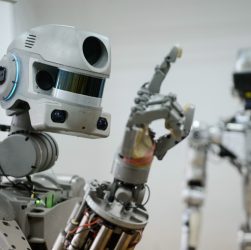 Image Reprsenting Humanoid Robots.